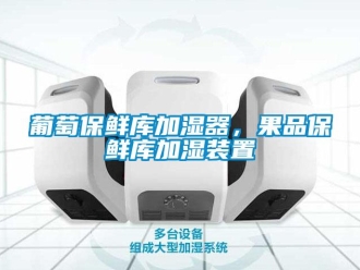 行業新聞葡萄保鮮庫加濕器，果品保鮮庫加濕裝置