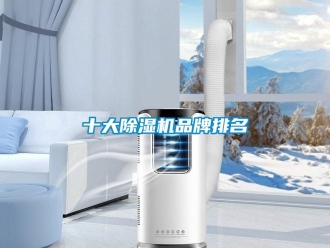企業新聞十大除濕機品牌排名