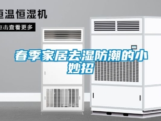 企業新聞春季家居去濕防潮的小妙招