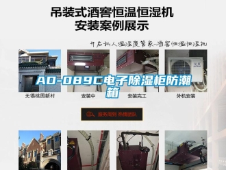 企業新聞AD-089C電子除濕柜防潮箱