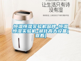 知識百科恒溫恒濕實驗機品牌-恒溫恒濕實驗機-湖北高天設備(查看)