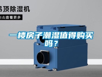 常見問題一樓房子潮濕值得購買嗎？