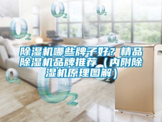 企業新聞除濕機哪些牌子好？精品除濕機品牌推薦（內附除濕機原理圖解）