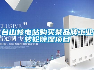 知識百科臺山核電站購買某品牌工業轉輪除濕項目