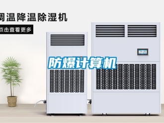 企業新聞防爆計算機
