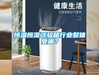 知識百科恒溫恒濕試驗箱行業整體受困？