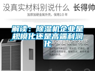 行業新聞解讀：除濕機企業是規模化還是高端利潤化