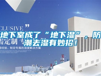 企業新聞地下室成了“地下濕”，防潮去濕有妙招！