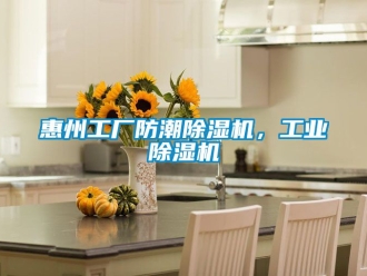 常見問題惠州工廠防潮除濕機，工業除濕機