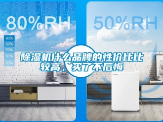 企業新聞除濕機什么品牌的性價比比較高，買了不后悔