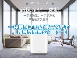 常見問題一樓帶院子和低樓層的房子，如何防潮防蚊？（一）