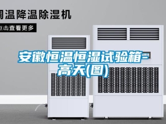 常見問題安徽恒溫恒濕試驗箱-高天(圖)