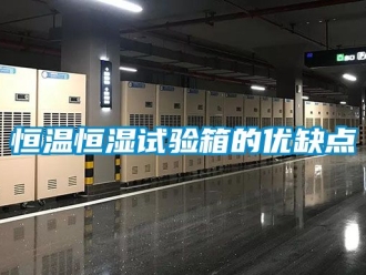 知識百科恒溫恒濕試驗箱的優缺點