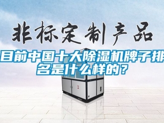 行業新聞目前中國十大除濕機牌子排名是什么樣的？