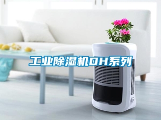 常見問題工業除濕機DH系列