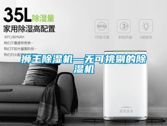 行業新聞獅王除濕機—無可挑剔的除濕機