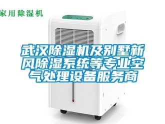 常見問題武漢除濕機及別墅新風除濕系統等專業空氣處理設備服務商