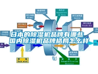 企業新聞日本的除濕機品牌有哪些 國內除濕機品牌格局怎么樣