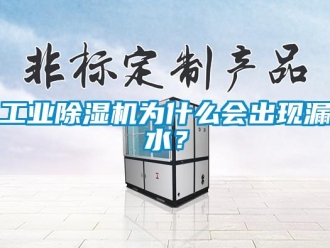 企業新聞工業除濕機為什么會出現漏水？