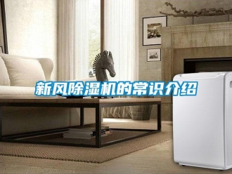 知識百科新風除濕機的常識介紹