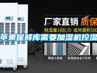 行業新聞蘋果保鮮庫需要加濕機控濕