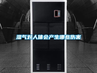 知識百科濕氣對人體會產生哪些傷害