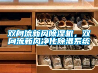 知識百科雙向流新風除濕機，雙向流新風凈化除濕系統