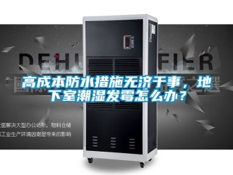 企業新聞高成本防水措施無濟于事，地下室潮濕發霉怎么辦？