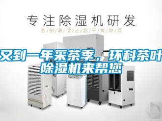 知識百科又到一年采茶季，環科茶葉除濕機來幫您