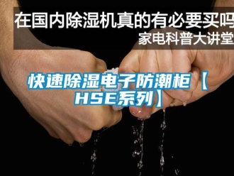 常見問題快速除濕電子防潮柜【HSE系列】