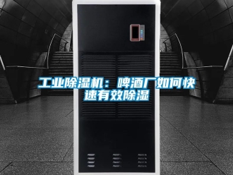 常見問題工業除濕機：啤酒廠如何快速有效除濕