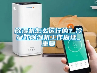 行業新聞除濕機怎么運行的？冷凝式除濕機工作原理_重復