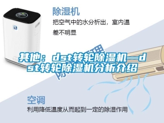 常見問題其他：dst轉輪除濕機—dst轉輪除濕機分析介紹