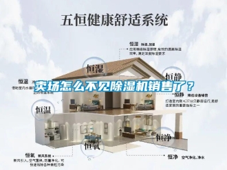 常見問題賣場怎么不見除濕機銷售了？