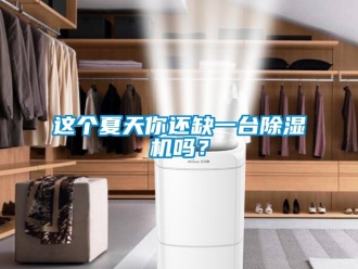 常見問題這個夏天你還缺一臺除濕機嗎？