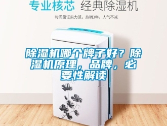 企業新聞除濕機哪個牌子好？除濕機原理，品牌，必要性解讀