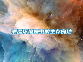 企業新聞潮濕環境是蟲的生存良地