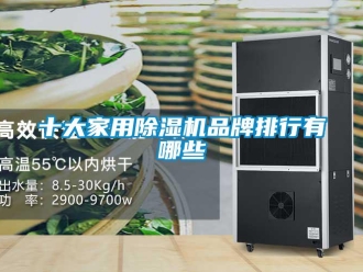 企業新聞十大家用除濕機品牌排行有哪些