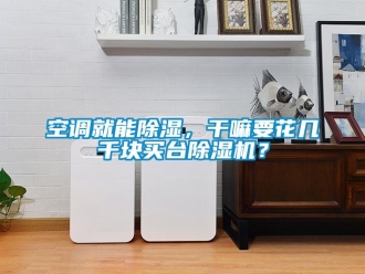 行業新聞空調就能除濕，干嘛要花幾千塊買臺除濕機？