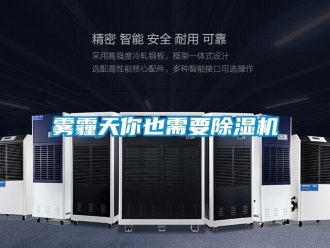 知識百科霧霾天你也需要除濕機