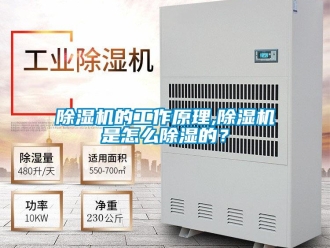 常見問題除濕機的工作原理,除濕機是怎么除濕的？