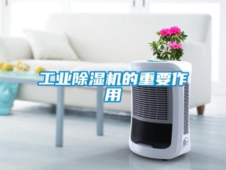 常見問題工業除濕機的重要作用