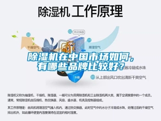 企業新聞除濕機在中國市場如何，有哪些品牌比較好？