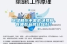 除濕機在中國市場如何，有哪些品牌比較好？