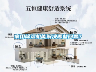 常見問題家用除濕機能解決哪些問題？