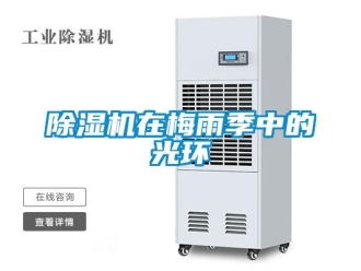 企業新聞除濕機在梅雨季中的光環