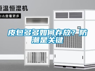 常見問題皮包多多如何存放？防潮是關鍵