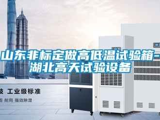 常見問題山東非標定做高低溫試驗箱-湖北高天試驗設備