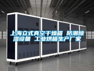 常見問題上海立式真空干燥箱 防潮除濕設備 工業烘箱生產廠家