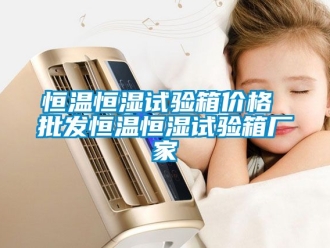 知識百科恒溫恒濕試驗箱價格 批發恒溫恒濕試驗箱廠家